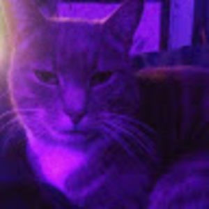 Meet your Posher, Wesley jupiter